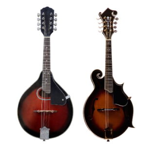 2 Electric Mandolin with white clear background