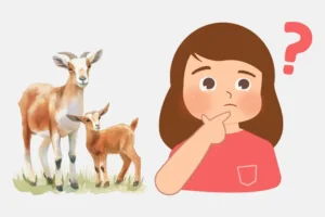 Animated girl guessing the animal which is showing her left side.