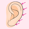 Ear icon