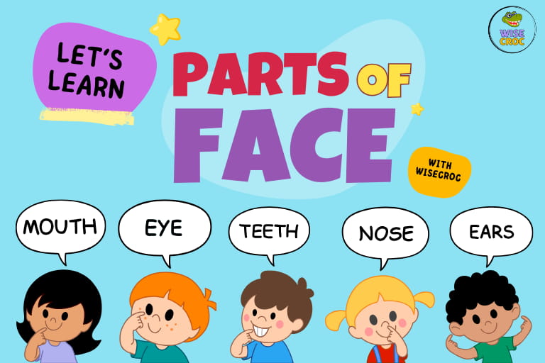 Group of illustration of little kids who are pointing to their face parts nose, mouth, teeth, ear and saying the name of face part in a speech bubble.